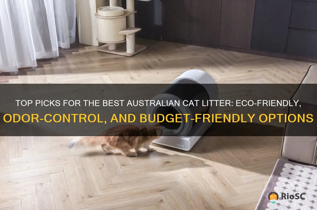 best australian cat litter