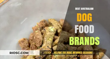 Top-Rated Australian Dog Food Brands: A Comprehensive Guide for Pet Owners