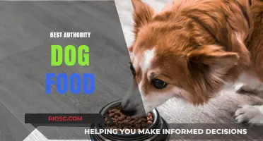Top Picks for Your Loyal Companion: The Best Authority Dog Food Options