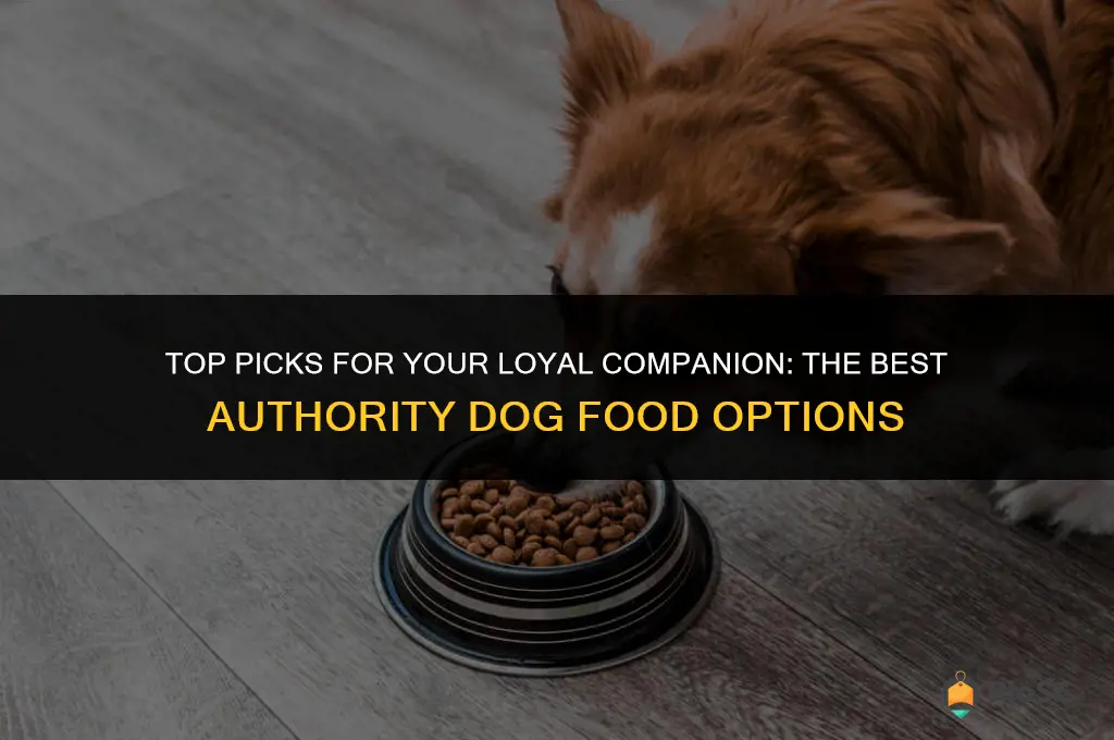 best authority dog food