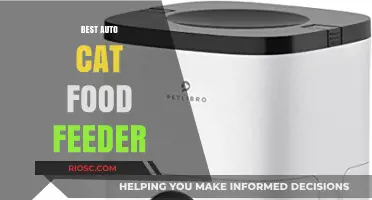 Revolutionize Your Feline's Feeding Routine: Discover the Best Auto Cat Food Feeder for Hassle-Free Nutrition