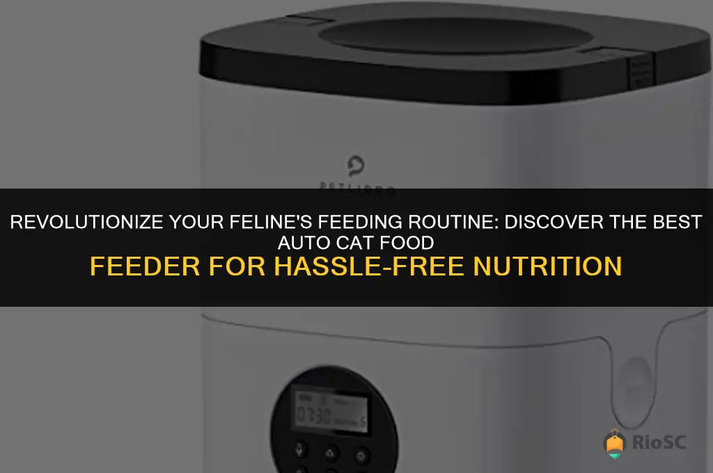 best auto cat food feeder