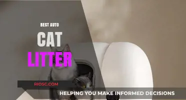 Top Picks for Auto Cat Litter: Effortless Cleaning for Busy Pet Owners