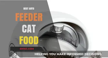 Revolutionize Your Feline's Feeding Routine: Discover the Best Auto Feeder Cat Food Options