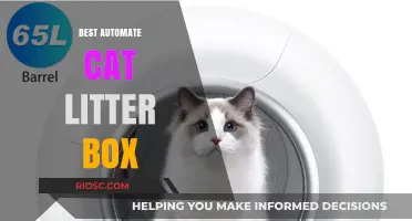 Revolutionize Your Cat Care: Top Automated Litter Boxes for Effortless Cleaning