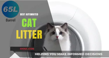 Revolutionize Your Cat Care: Top Automated Cat Litter Solutions for a Cleaner, Stress-Free Home