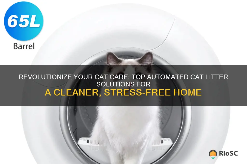 best automated cat litter