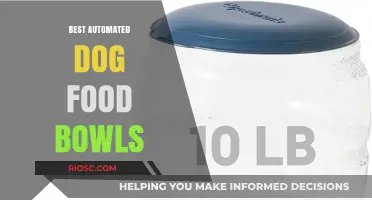Revolutionize Your Pet's Feeding Time: Top Automated Dog Food Bowls for Hassle-Free Nutrition