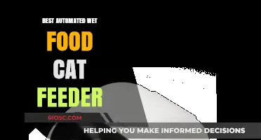 Revolutionize Your Feline's Feeding Routine: Discover the Top Automated Wet Food Cat Feeder