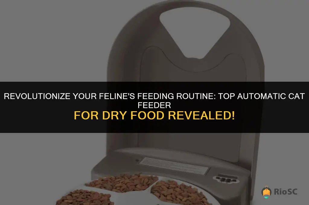 best automatic cat feeder dry food