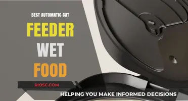 Revolutionize Your Feline's Feeding Routine: Top Picks for Automatic Wet Food Cat Feeders