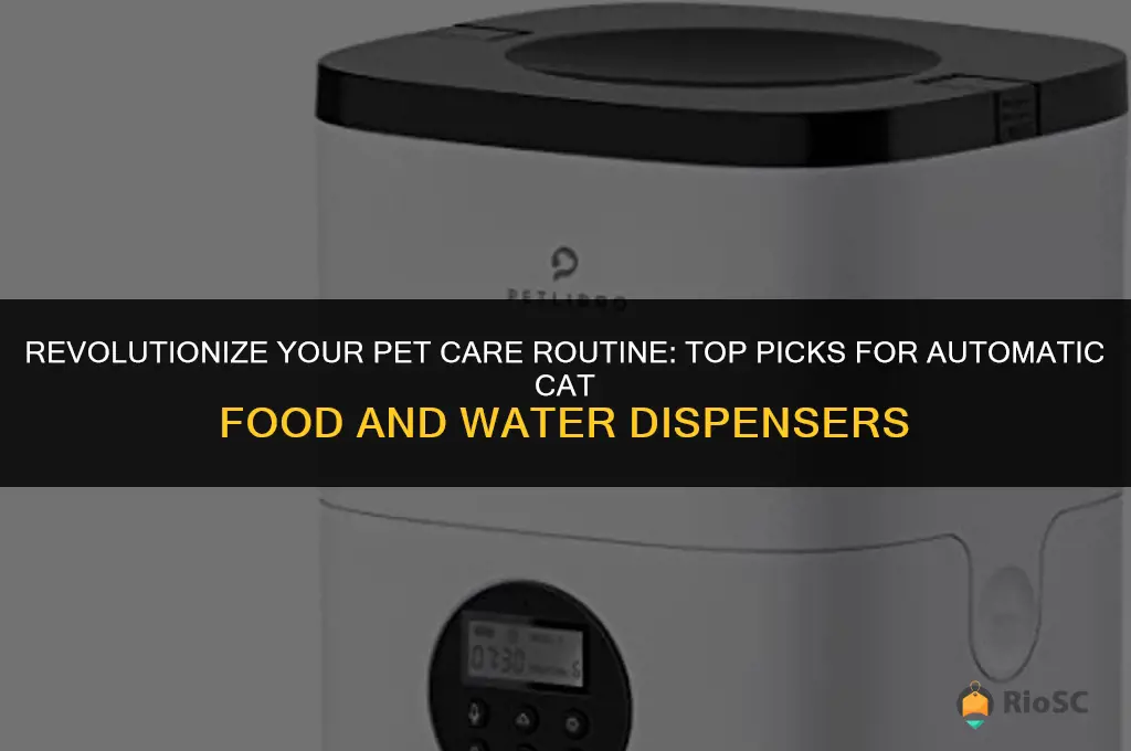 best automatic cat food and water dispenser
