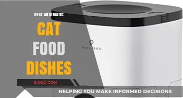 Revolutionize Your Feline's Feeding Time: Top Automatic Cat Food Dishes of 2024