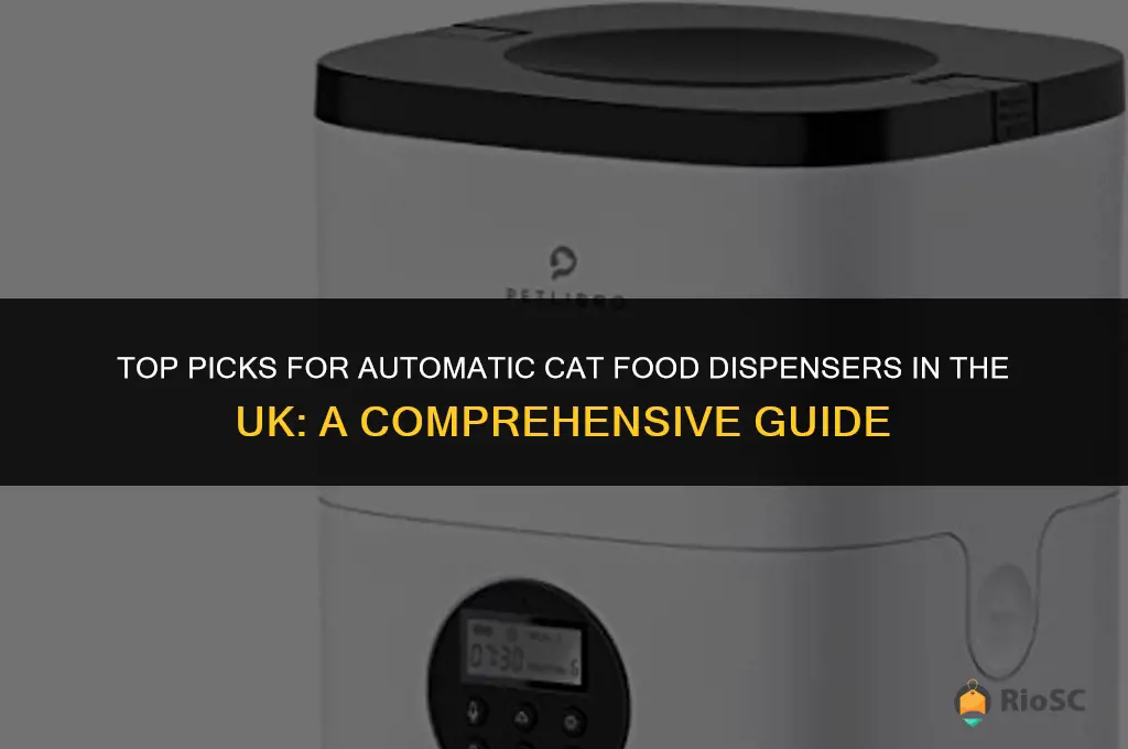 best automatic cat food dispenser uk