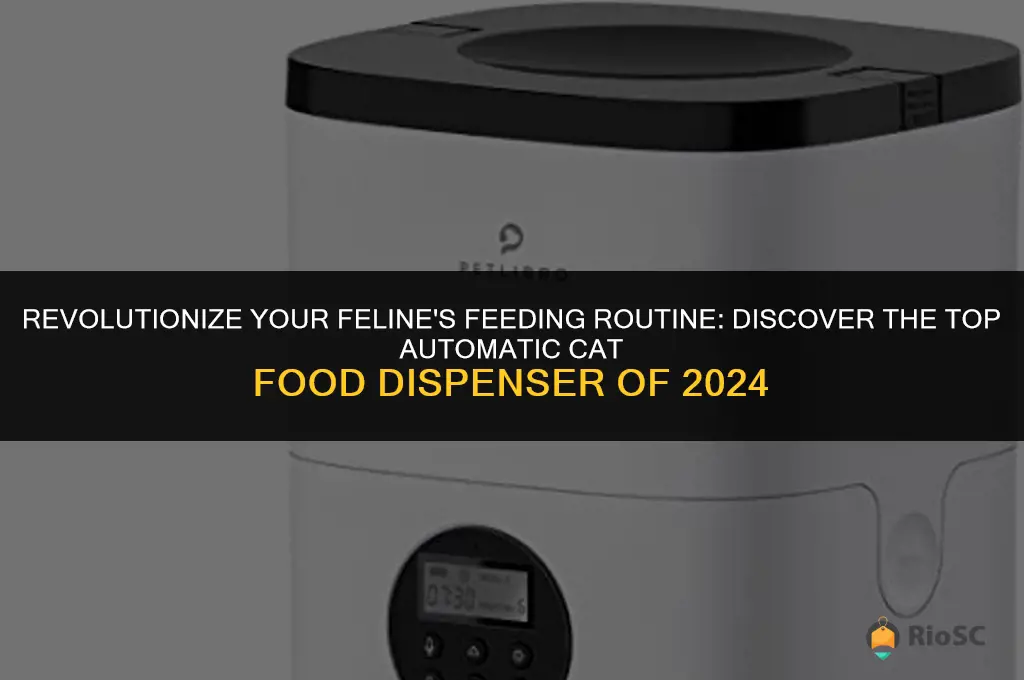 best automatic cat food disperser