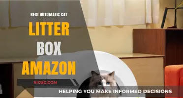 Top-Rated Automatic Cat Litter Boxes on Amazon: Effortless Cleaning for Busy Pet Owners