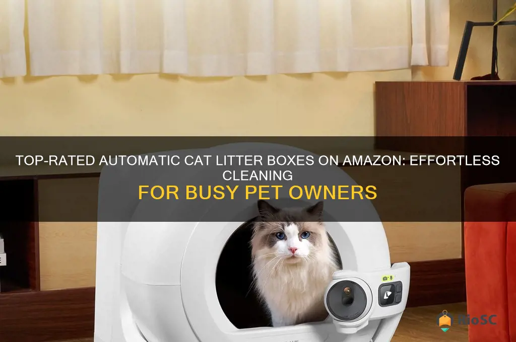 best automatic cat litter box amazon