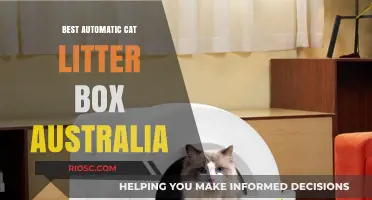 Top Automatic Cat Litter Boxes in Australia: Effortless Cleaning for Busy Pet Owners