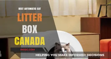 Top Automatic Cat Litter Boxes in Canada: Effortless Cleaning for Busy Pet Owners