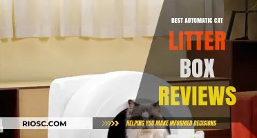 Top-Rated Automatic Cat Litter Boxes: Expert Reviews and Buying Guide