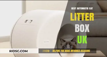 Top-Rated Automatic Cat Litter Boxes in the UK: Effortless Cleaning for Pet Owners