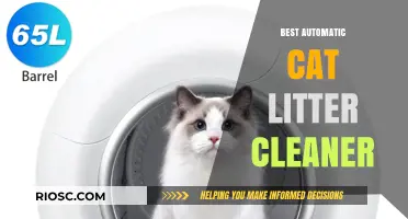 Revolutionize Your Cat Care: Top Automatic Cat Litter Cleaners for Effortless Maintenance