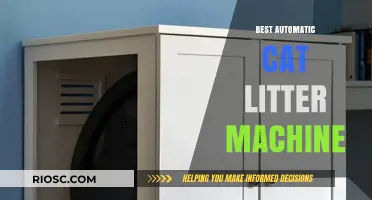 Revolutionize Your Cat Care: Top Automatic Cat Litter Machines for Effortless Cleaning