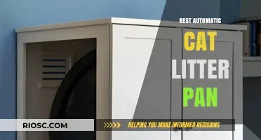 Revolutionize Your Cat Care: Top Automatic Cat Litter Pan Recommendations for Effortless Cleaning