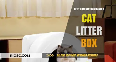 Revolutionize Your Cat Care: Top Automatic Cleaning Cat Litter Boxes for Effortless Maintenance