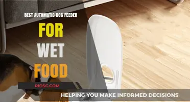 Top Picks for Automatic Dog Feeders: Wet Food Edition