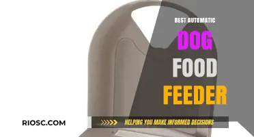 Revolutionize Mealtime: The Ultimate Guide to Choosing the Best Automatic Dog Food Feeder