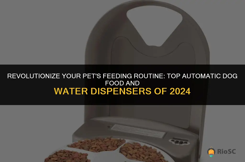 best automatic dog food water dispenser