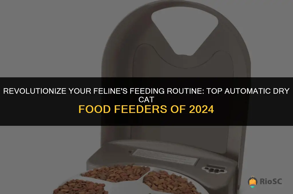 best automatic dry cat food feeder