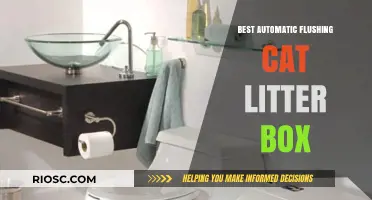 Revolutionize Your Cat Care: The Ultimate Guide to the Best Automatic Flushing Cat Litter Box