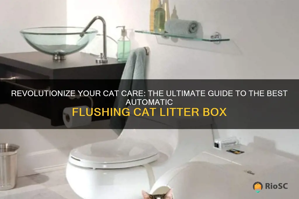 best automatic flushing cat litter box