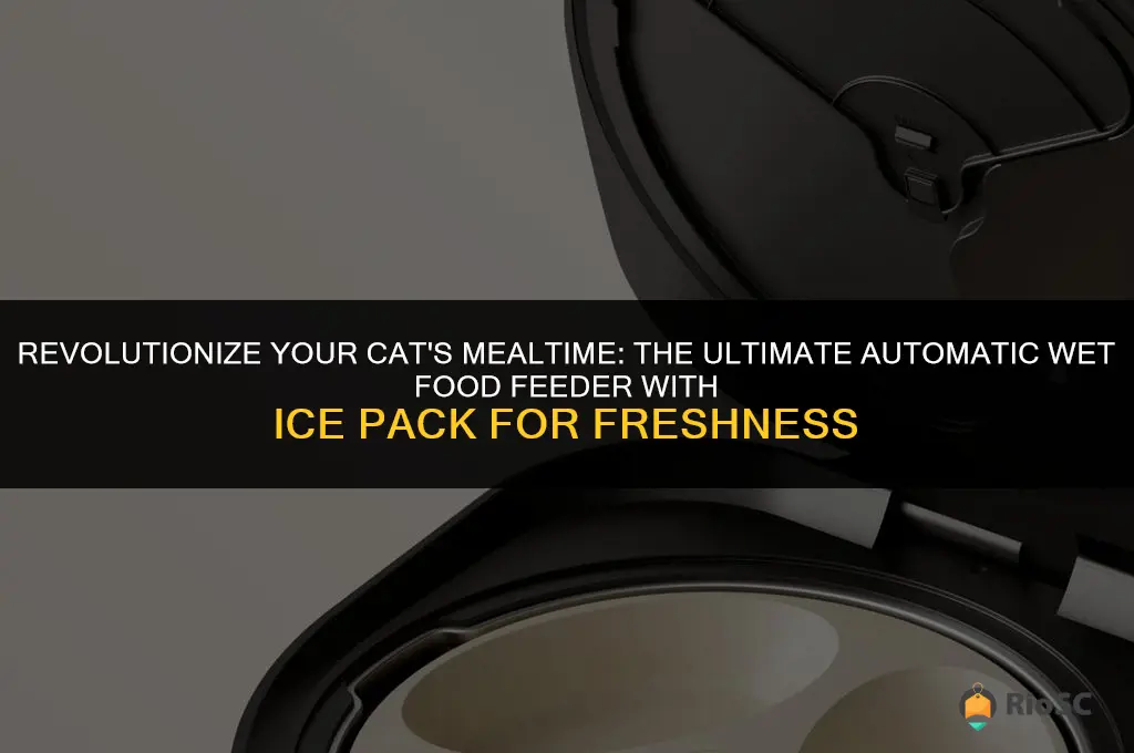 best automatic wet food cat feeder with ice pack