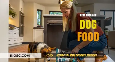 Top Picks for Autoship Dog Food: Convenience Meets Canine Nutrition