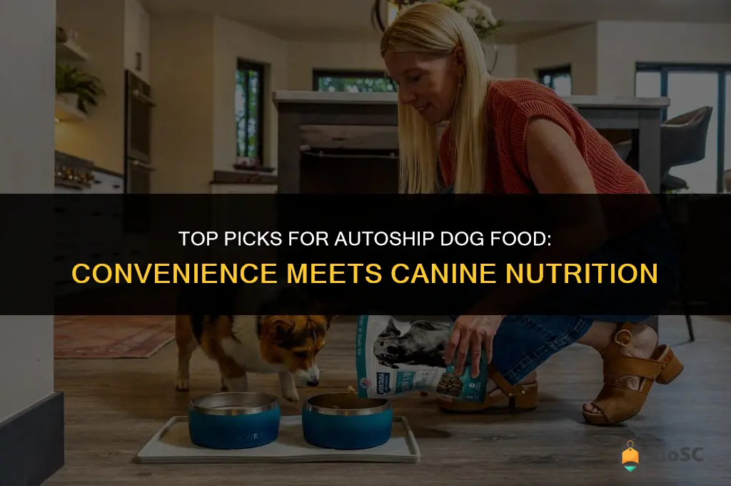 best autoship dog food