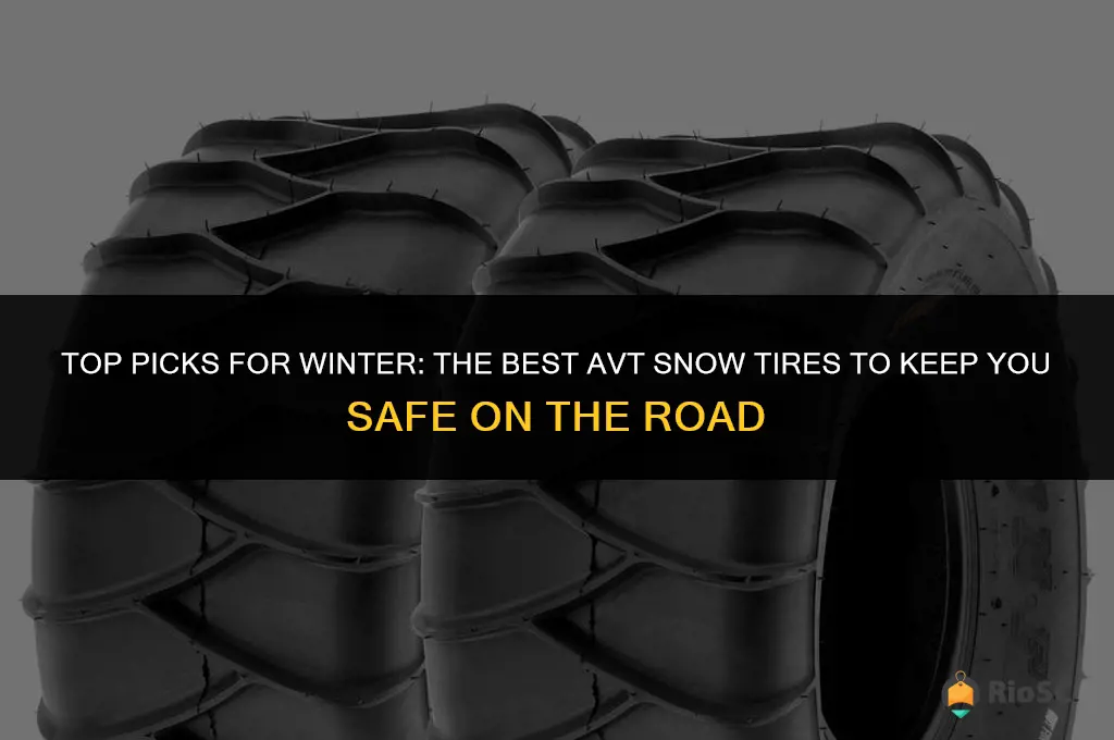 best avt snow tires