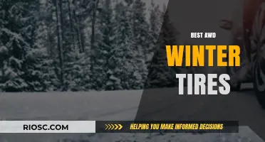 Top Picks for AWD Winter Tires: Stay Safe and Stylish on Snowy Roads