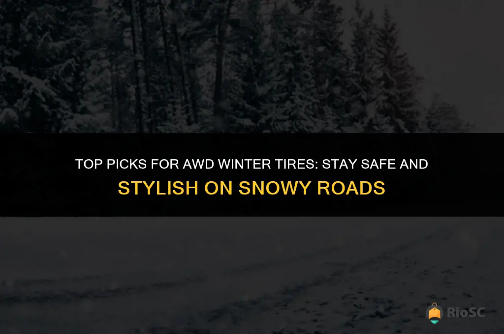 best awd winter tires