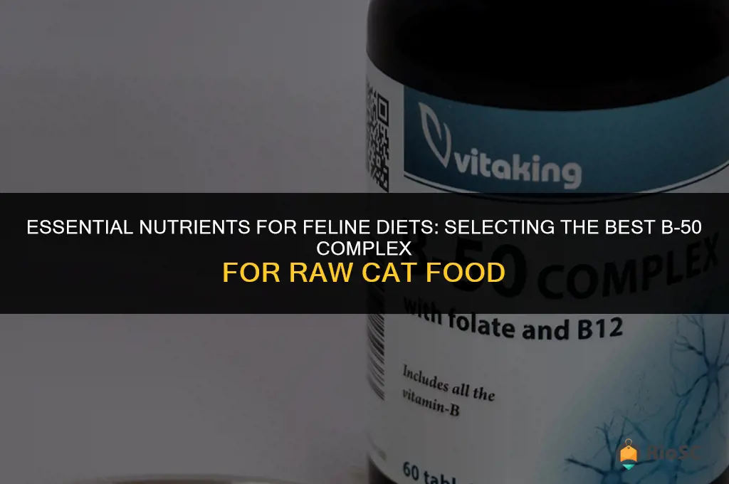 best b-50 complex for raw cat food