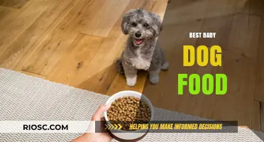 Nourishing Your Furry Friend: A Guide to the Best Baby Dog Food