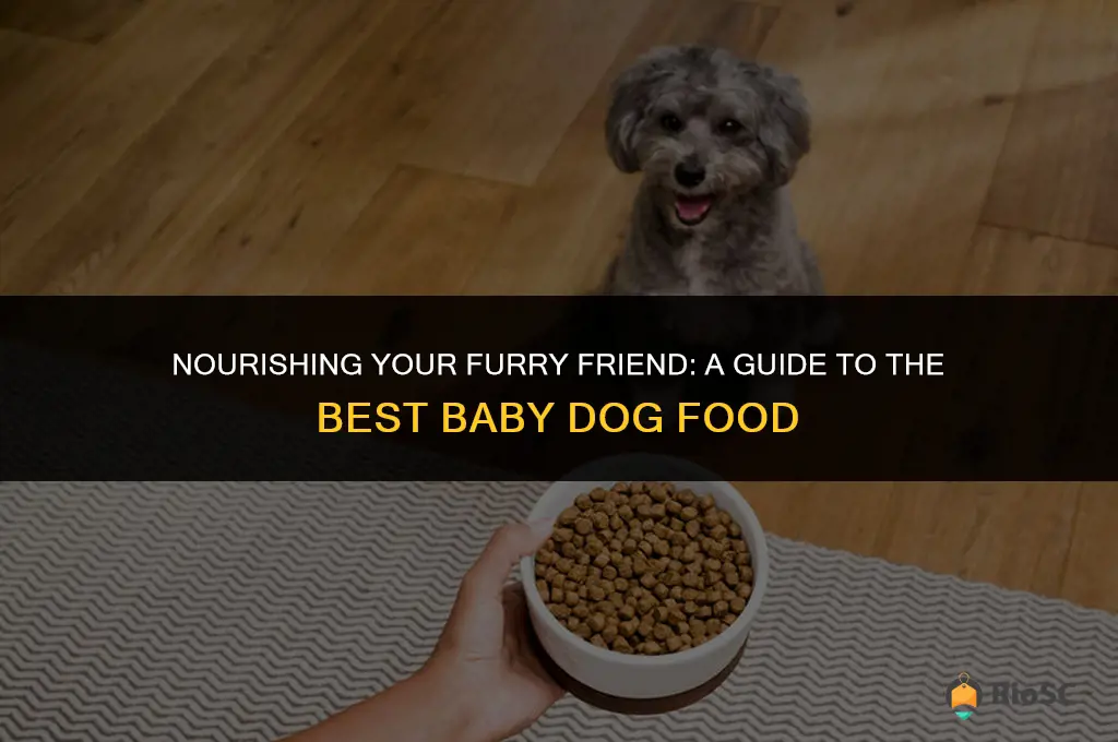 best baby dog food