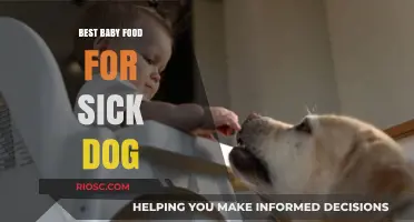 Nourishing Your Furry Friend: Top Baby Food Picks for a Sick Dog's Recovery