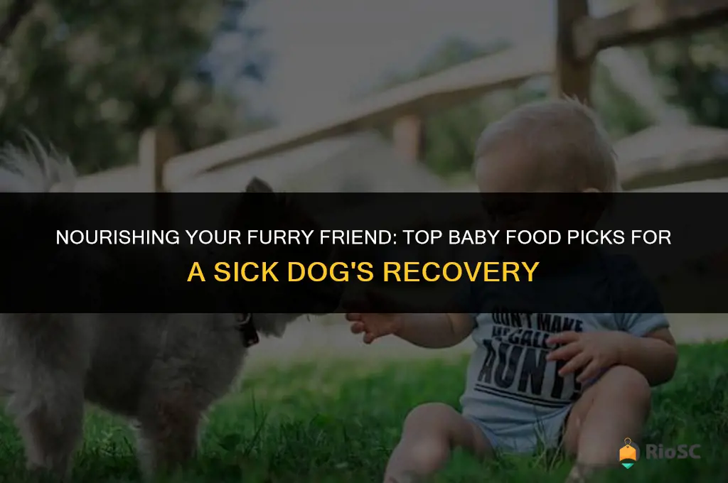best baby food for sick dog