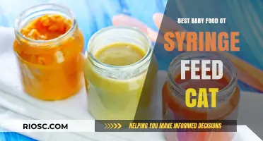 Nutrition for Your Feline Friend: The Best Baby Food Options for Syringe Feeding Your Cat