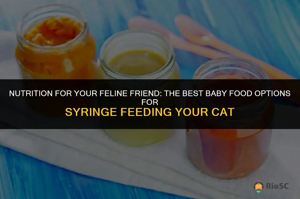 best baby food ot syringe feed cat