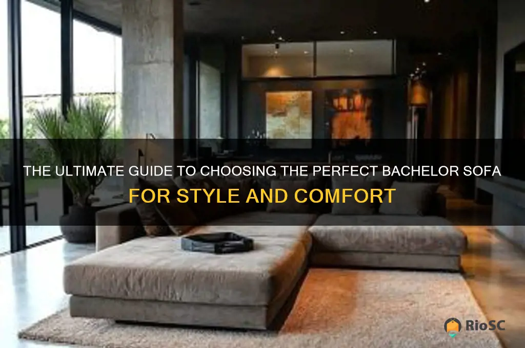 best bachelor sofa