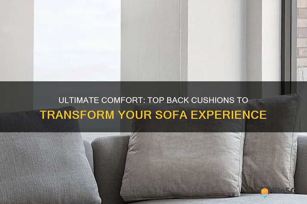 best back cushion for sofa